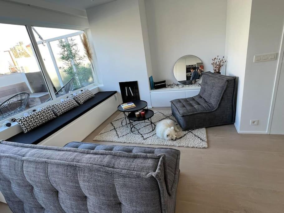 Beautiful Penthouse At 5Min Of Albert Place Knokke-Heist Exteriér fotografie